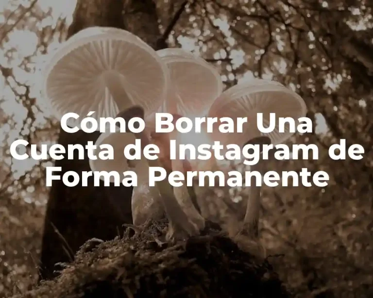Cómo Borrar Una Cuenta de Instagram de Forma Permanente