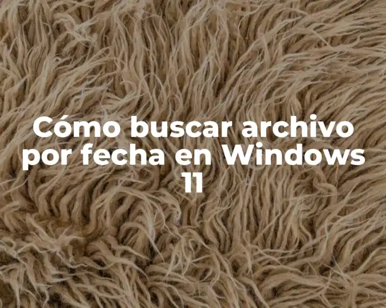 Cómo buscar archivo por fecha en Windows 11