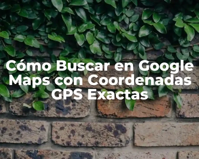 Cómo Buscar en Google Maps con Coordenadas GPS Exactas