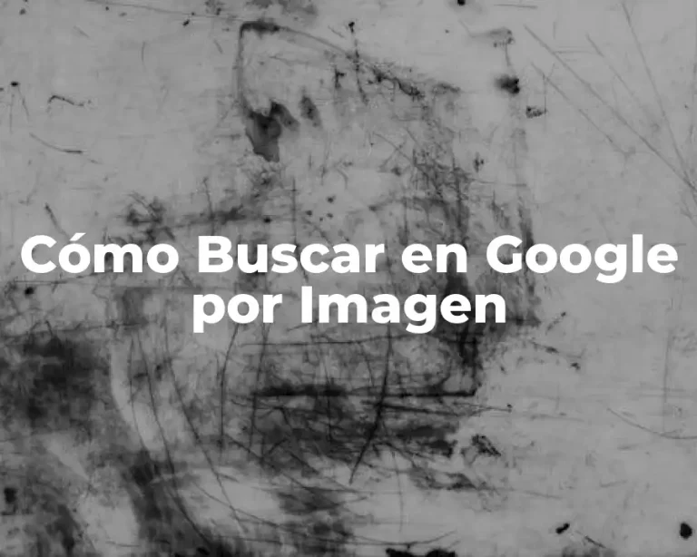 Cómo Buscar en Google por Imagen