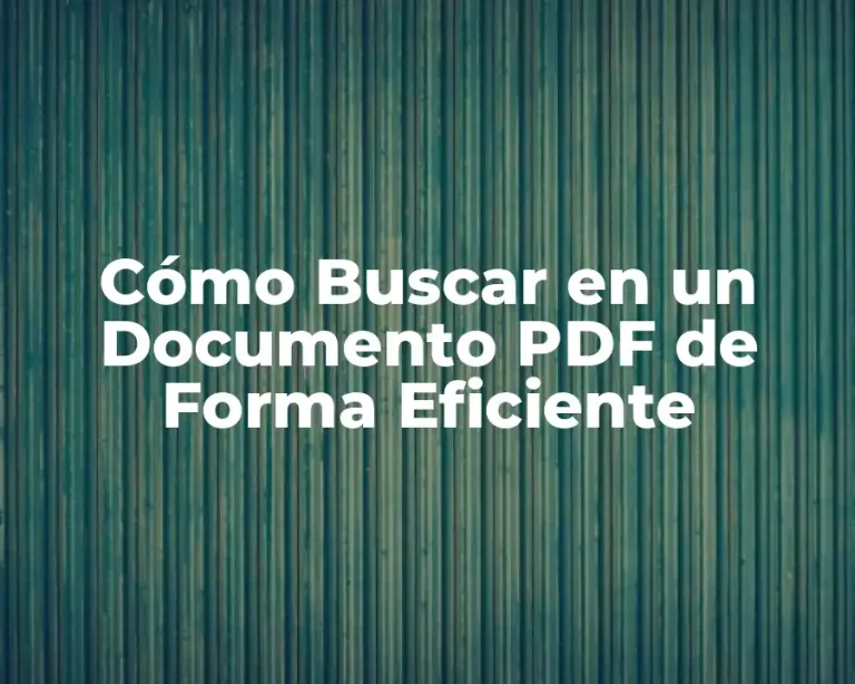 Cómo Buscar en un Documento PDF de Forma Eficiente