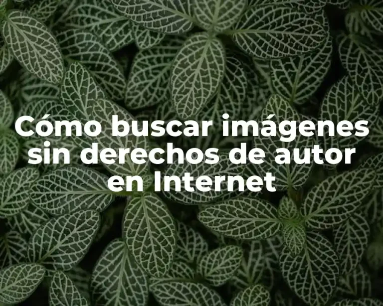 Cómo buscar imágenes sin derechos de autor en Internet