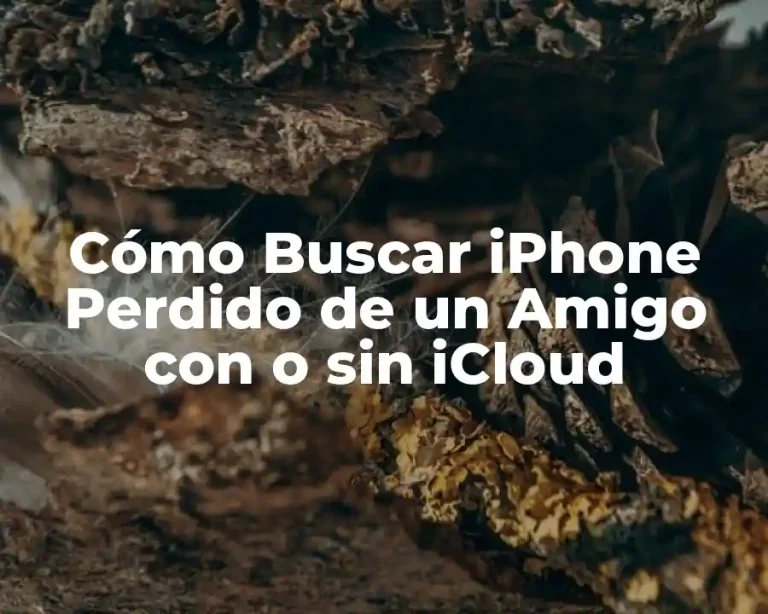 Cómo Buscar iPhone Perdido de un Amigo con o sin iCloud