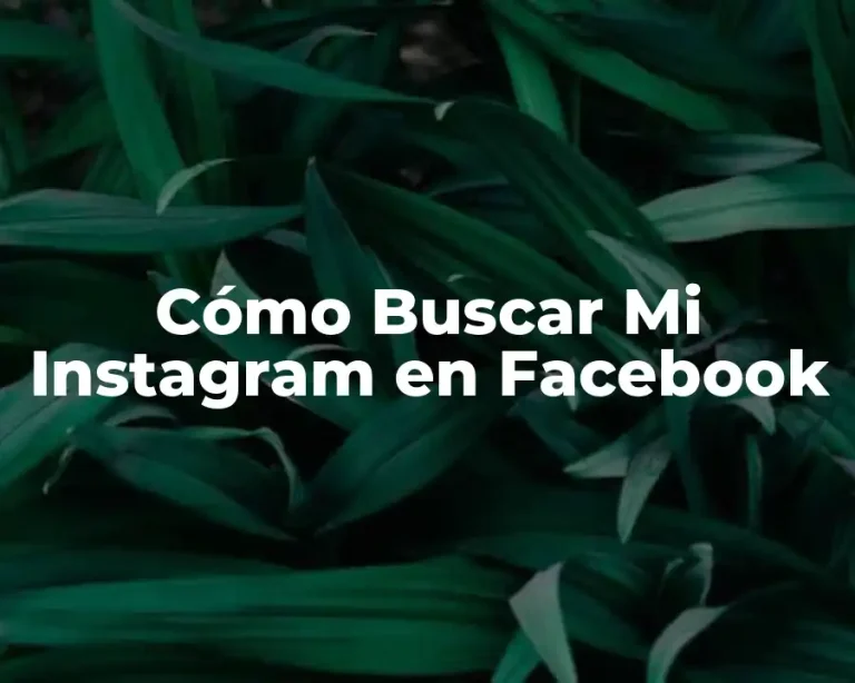 Cómo Buscar Mi Instagram en Facebook