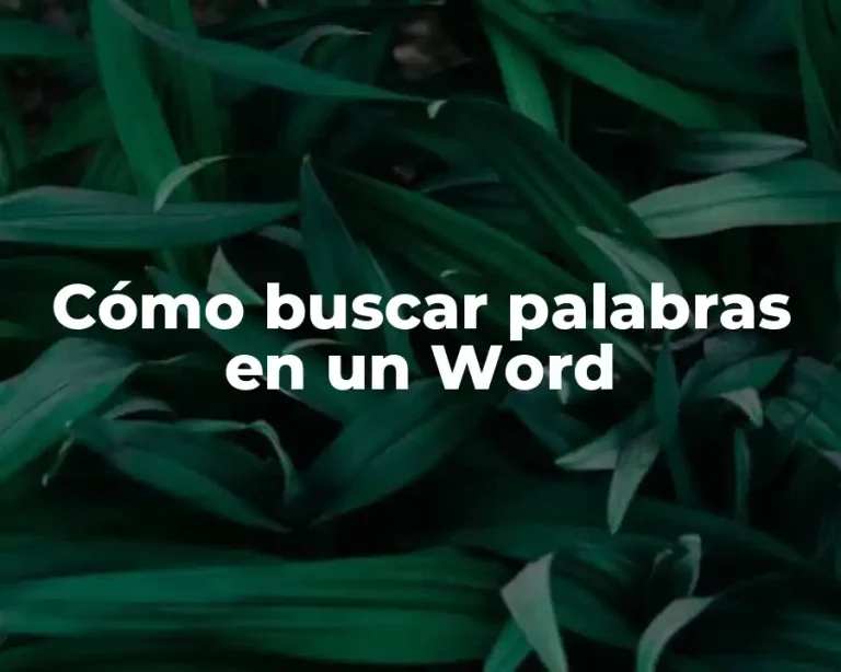 Cómo buscar palabras en un Word