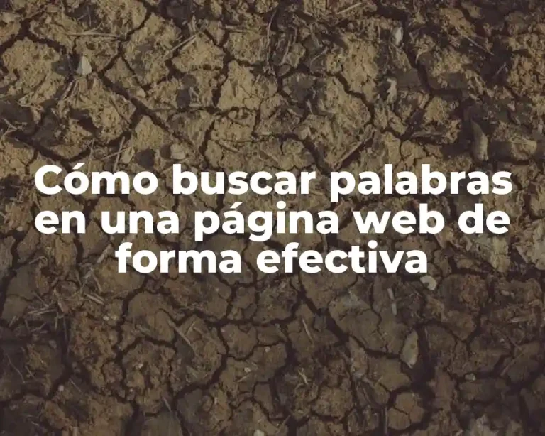 Cómo buscar palabras en una página web de forma efectiva