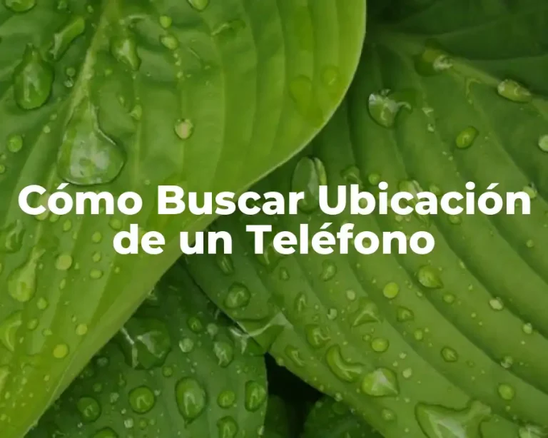 Cómo Buscar Ubicación de un Teléfono