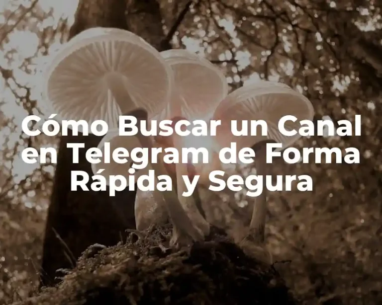 Cómo Buscar un Canal en Telegram de Forma Rápida y Segura