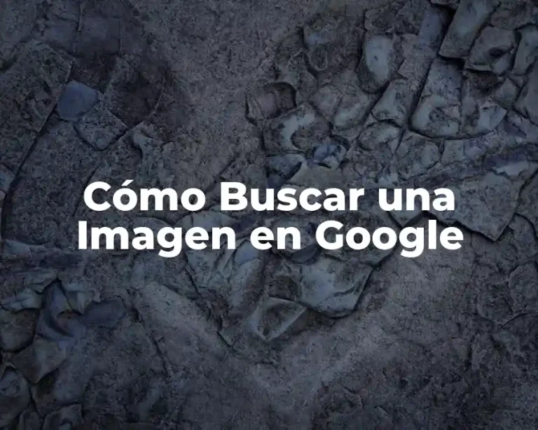 Cómo Buscar una Imagen en Google
