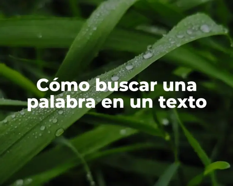 Cómo buscar una palabra en un texto