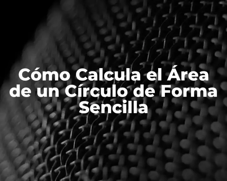 Cómo Calcula el Área de un Círculo de Forma Sencilla