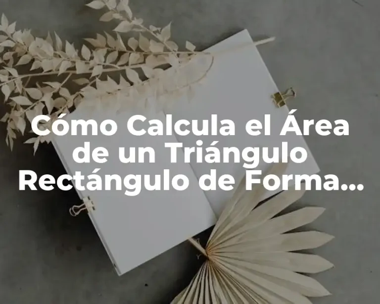 Cómo Calcula el Área de un Triángulo Rectángulo de Forma Fácil y Rápida