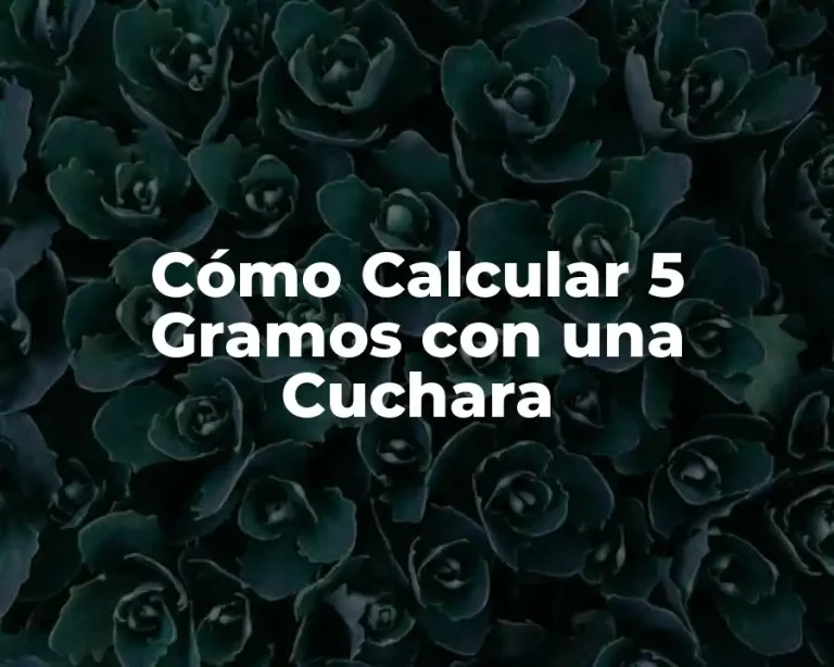 Cómo Calcular 5 Gramos con una Cuchara