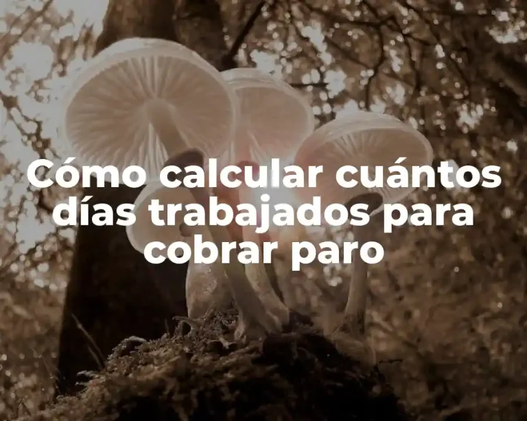 Cómo calcular cuántos días trabajados para cobrar paro