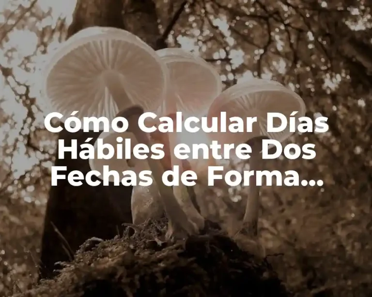 Cómo Calcular Días Hábiles entre Dos Fechas de Forma Exacta