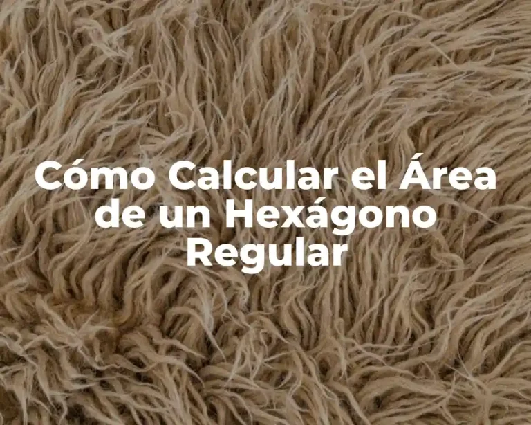 Cómo Calcular el Área de un Hexágono Regular