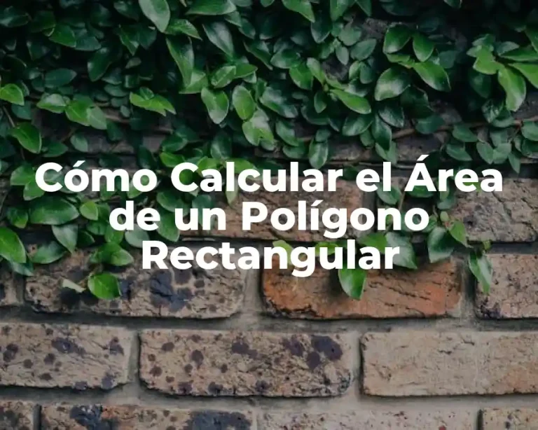 Cómo Calcular el Área de un Polígono Rectangular
