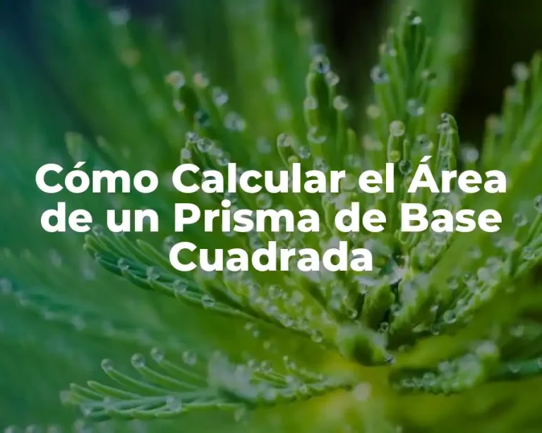 Cómo Calcular el Área de un Prisma de Base Cuadrada
