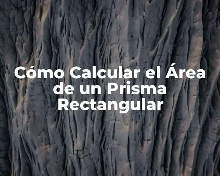 Cómo Calcular el Área de un Prisma Rectangular