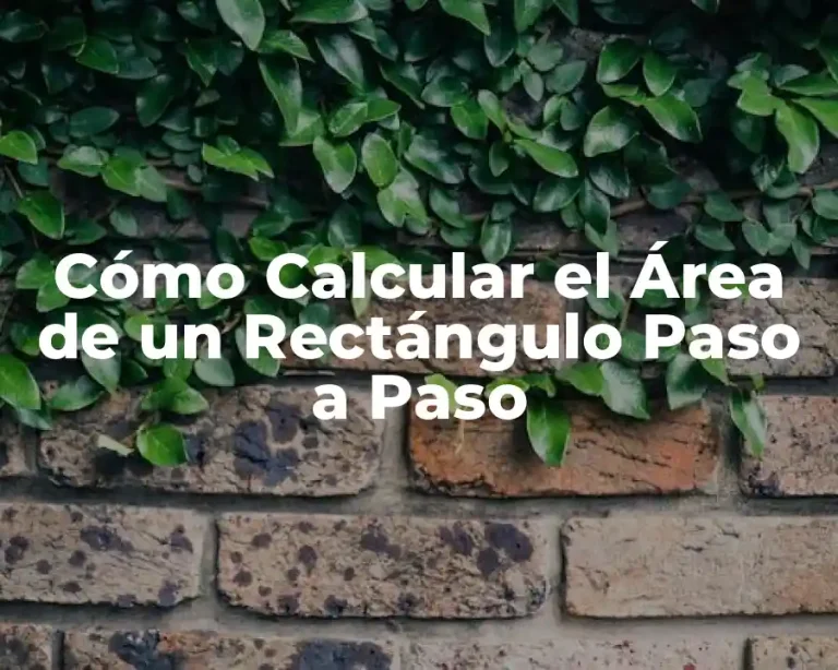 Cómo Calcular el Área de un Rectángulo Paso a Paso