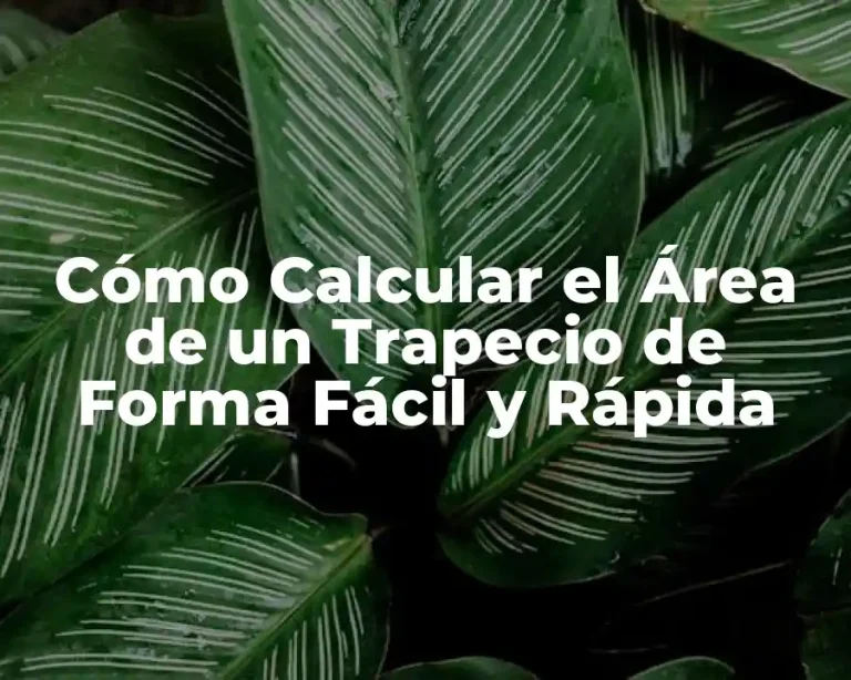 Cómo Calcular el Área de un Trapecio de Forma Fácil y Rápida