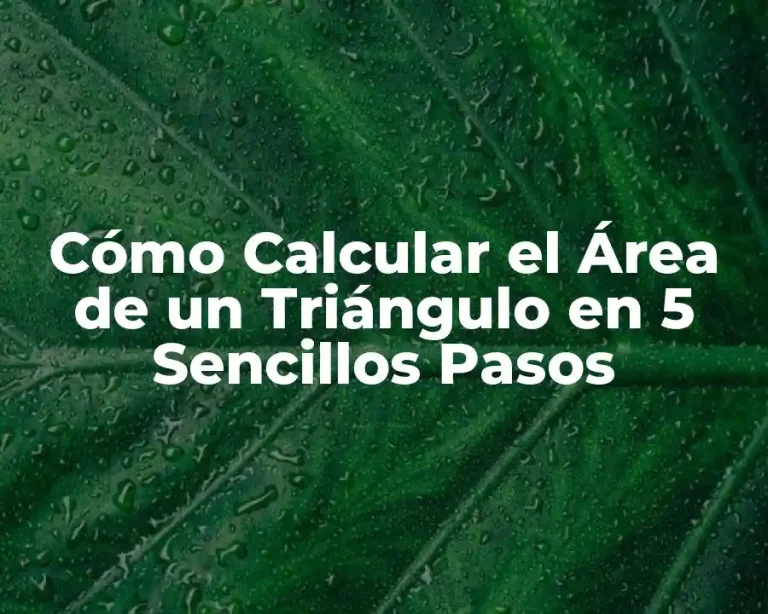 Cómo Calcular el Área de un Triángulo en 5 Sencillos Pasos