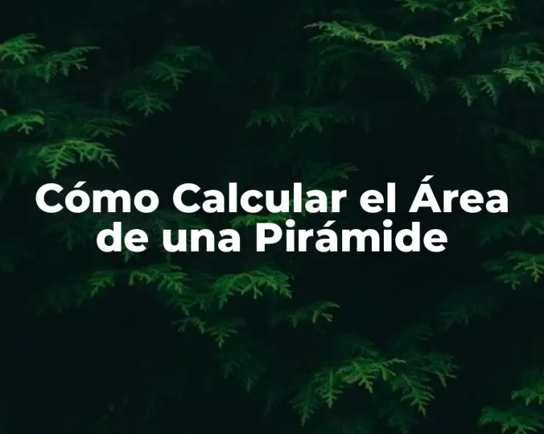 Cómo Calcular el Área de una Pirámide