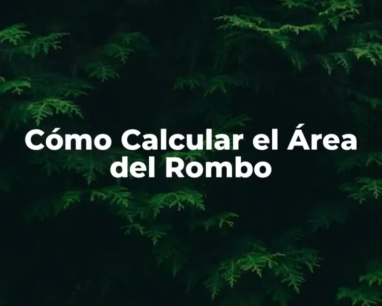 Cómo Calcular el Área del Rombo