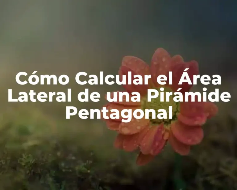Cómo Calcular el Área Lateral de una Pirámide Pentagonal