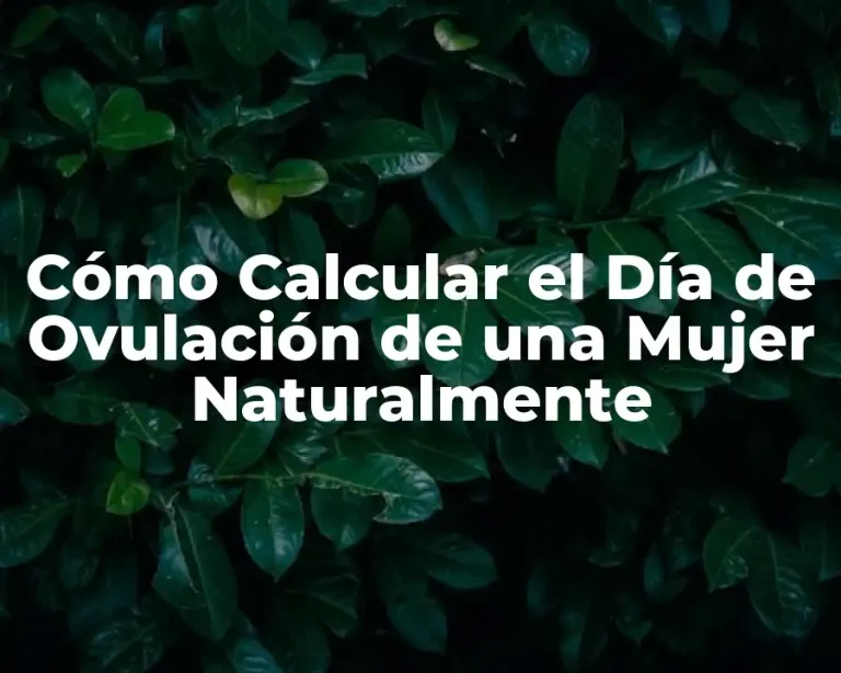 Cómo Calcular el Día de Ovulación de una Mujer Naturalmente