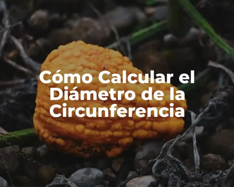 Cómo Calcular el Diámetro de la Circunferencia