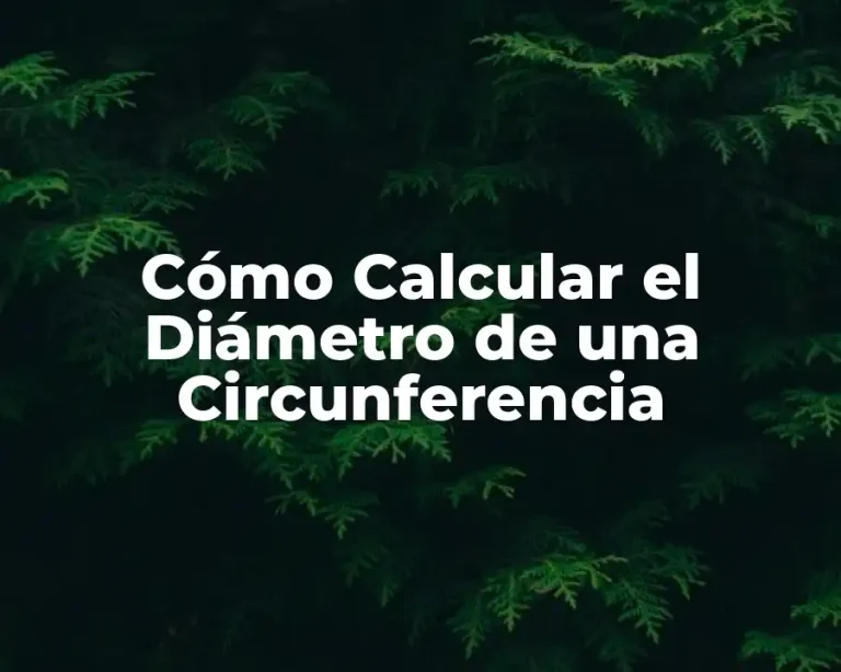 Cómo Calcular el Diámetro de una Circunferencia