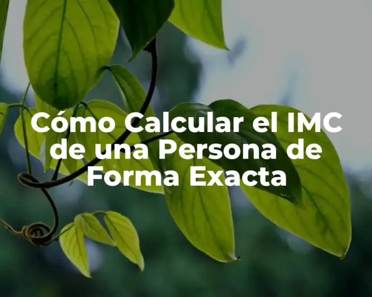 Cómo Calcular el IMC de una Persona de Forma Exacta