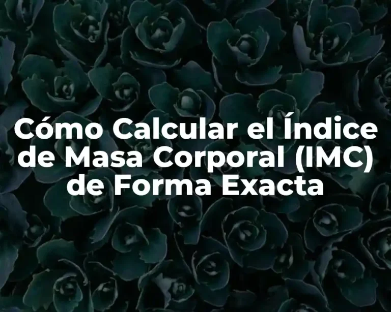 Cómo Calcular el Índice de Masa Corporal (IMC) de Forma Exacta
