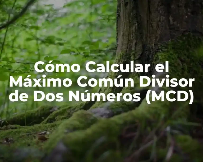 Cómo Calcular el Máximo Común Divisor de Dos Números (MCD)