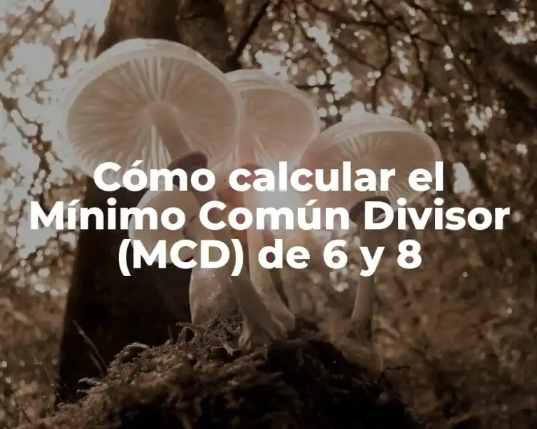 Cómo calcular el Mínimo Común Divisor (MCD) de 6 y 8