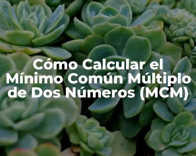 Cómo Calcular el Mínimo Común Múltiplo de Dos Números (MCM)
