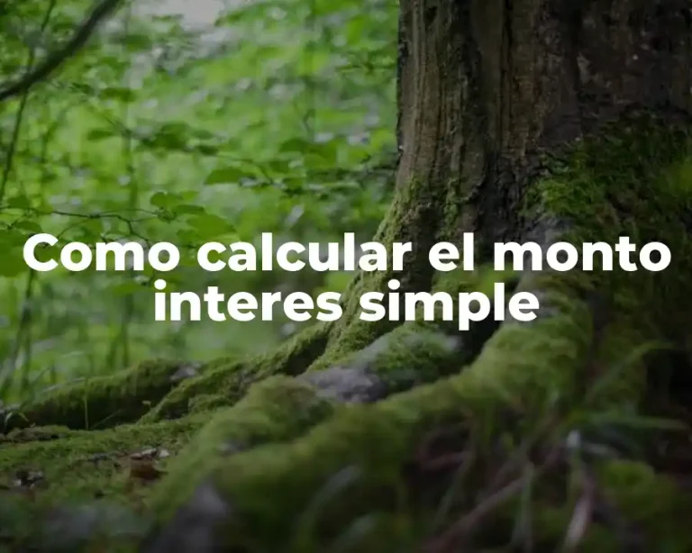 Como calcular el monto interes simple