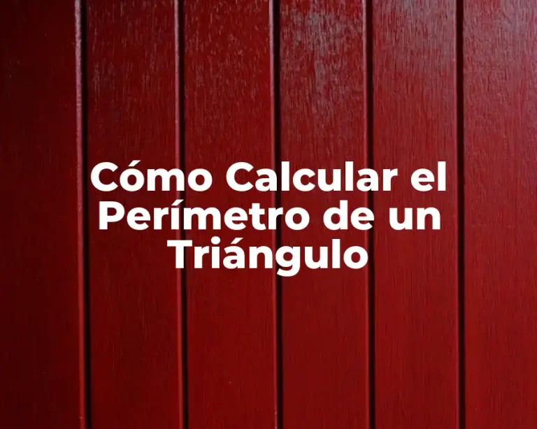 Cómo Calcular el Perímetro de un Triángulo