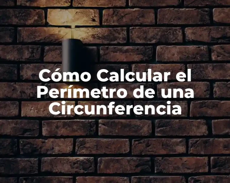 Cómo Calcular el Perímetro de una Circunferencia