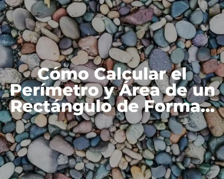 Cómo Calcular el Perímetro y Área de un Rectángulo de Forma Fácil