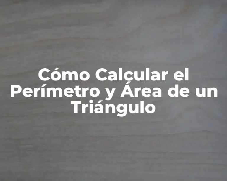 Cómo Calcular el Perímetro y Área de un Triángulo