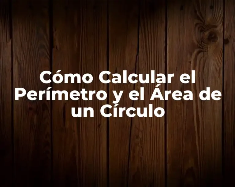 Cómo Calcular el Perímetro y el Área de un Círculo