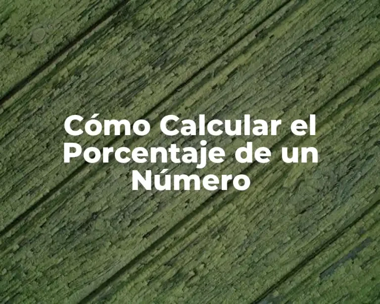 Cómo Calcular el Porcentaje de un Número