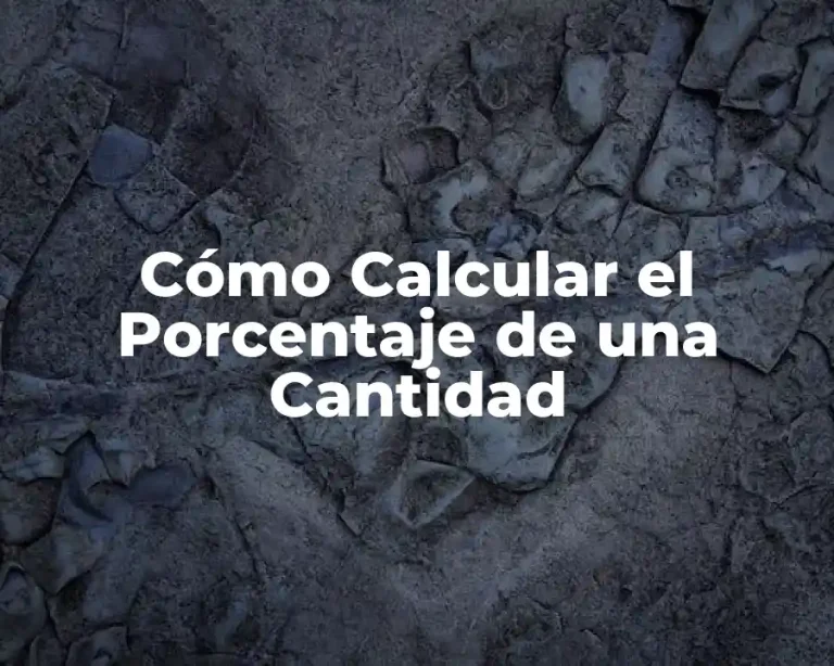 Cómo Calcular el Porcentaje de una Cantidad