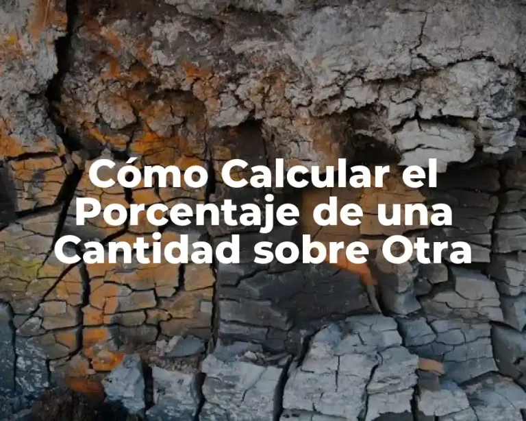 Cómo Calcular el Porcentaje de una Cantidad sobre Otra