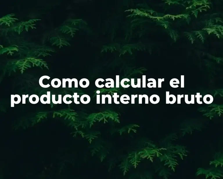 Como calcular el producto interno bruto
