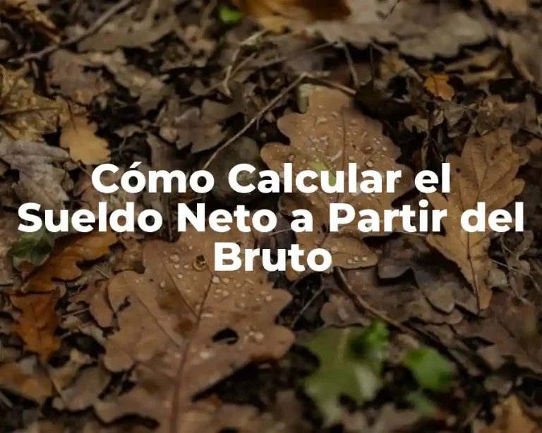 Cómo Calcular el Sueldo Neto a Partir del Bruto