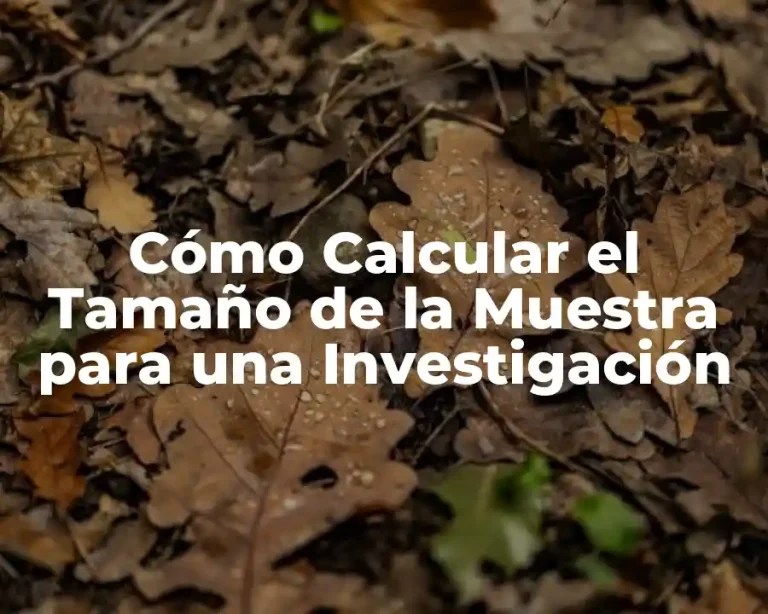 Cómo Calcular el Tamaño de la Muestra para una Investigación
