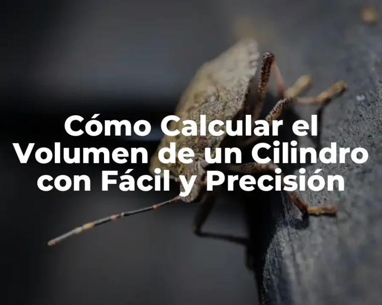 Cómo Calcular el Volumen de un Cilindro con Fácil y Precisión